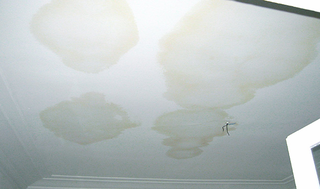 Living Area Inspections in and near Naples Florida